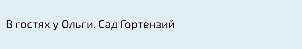 В гостях у Ольги. Сад Гортензий